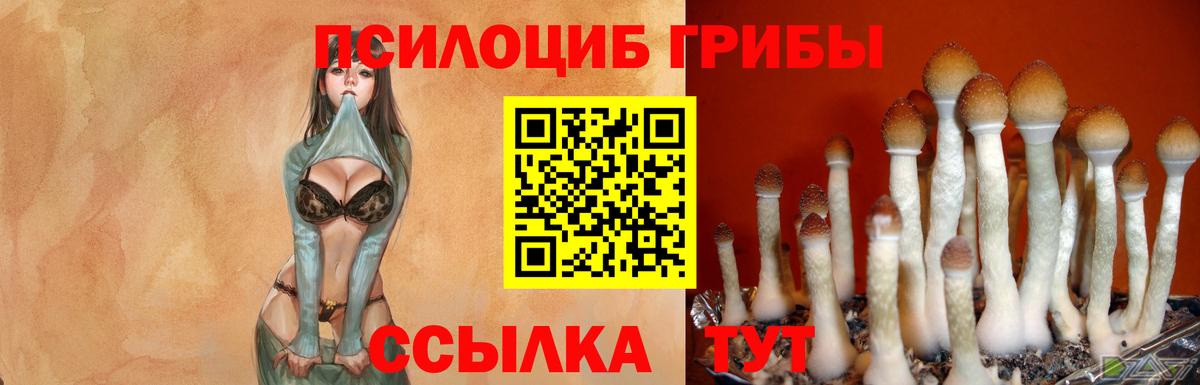 Галлюциногенные грибы мицелий  Вход с VPN  Алатырь 
