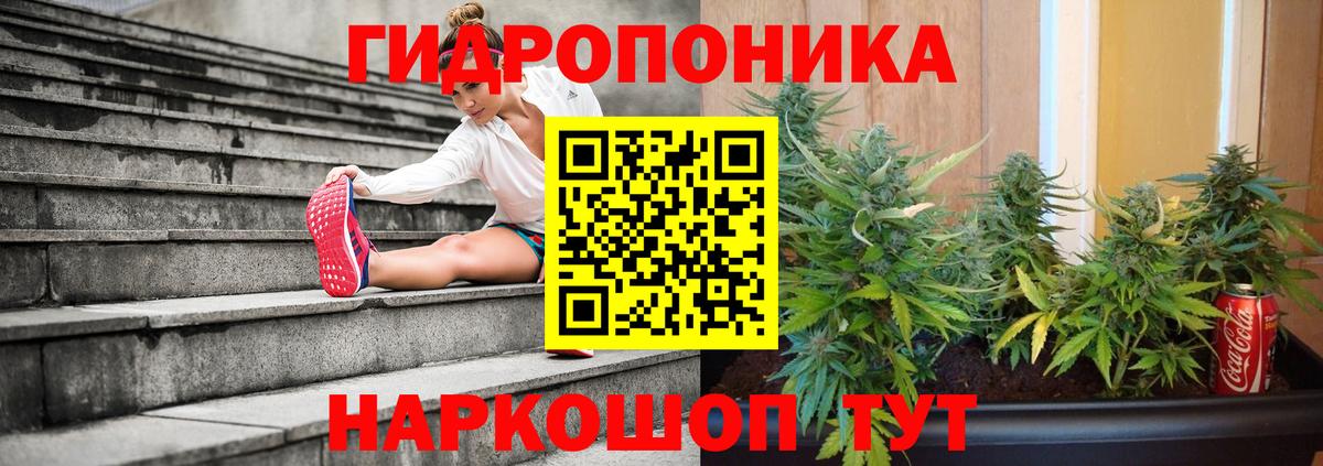 МАРИХУАНА OG Kush  Марихуана тримм  Шишки марихуана семена  Алатырь  Вход с VPN 